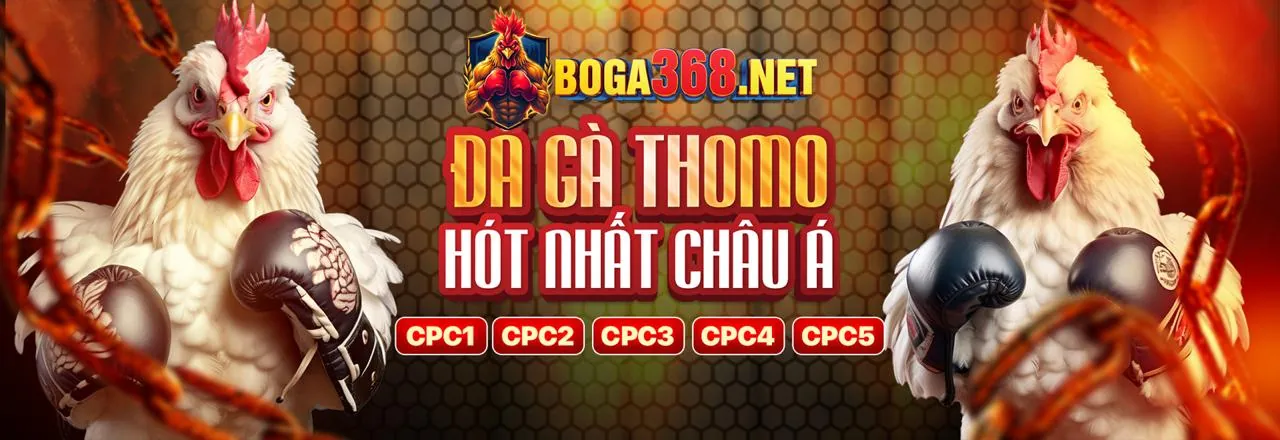Hướng dẫn các bước đăng ký và tham gia đá gà ex88